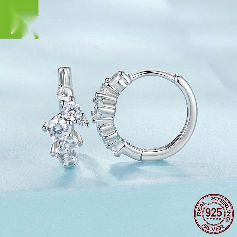 Exquisite Flash Zircon Earrings Women's Light Luxury All-matching