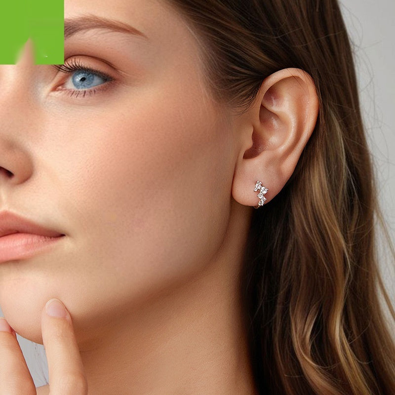 Exquisite Flash Zircon Earrings Women's Light Luxury All-matching